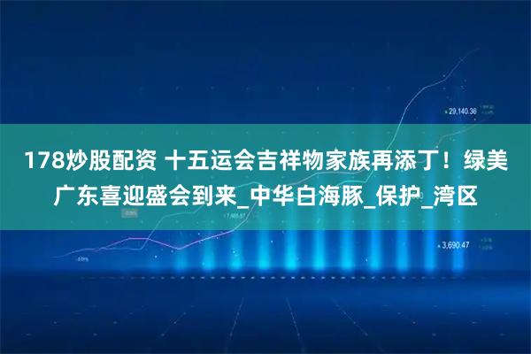 178炒股配资 十五运会吉祥物家族再添丁！绿美广东喜迎盛会到来_中华白海豚_保护_湾区